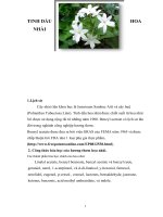 Tiểu luận tinh dầu hoa nhài