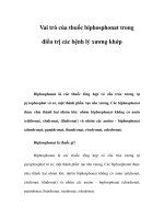 Vai trò của thuốc biphosphonat trong điều trị các bệnh lý xương khớp docx
