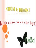 Thực trạng công nghiệp hóa - hiện đại hóa Việt Nam thời đại mới pps