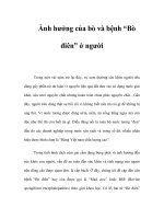 Ảnh hưởng của bò và bệnh “Bò điên” ở người ppsx