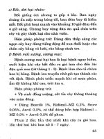 Kỹ Thuật Trồng Cây Ăn Quả Hiệu Quả Cao (Tập 1) - Nguyễn Đình Thiêm phần 9 docx