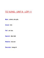 TỪ VỰNG - UNIT 8 - LỚP 11 ppt