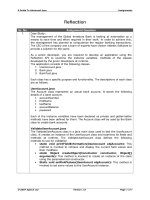 A Guide To Advanced Java - Reflection pdf