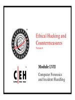 Ethical hacking and countermeasures - phần 57 doc