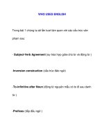 WHO USES ENGLISH docx