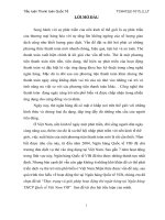 Thực trạng và giải pháp hoạt động thẻ ngân hàng tại Ngân hàng TMCP Quốc tế Việt Nam VIB pps