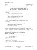 Giáo án sinh học 11 - Ban cơ bản Bài 34 SINH TRƯỞNG Ở THỰC VẬT pptx