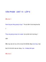 VĂN PHẠM - UNIT 14 - LỚP 6 pps