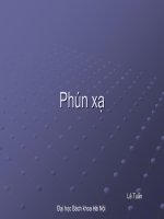 Phún xạ phần 1 pot