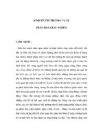 Luận văn: Sự phân hóa giàu nghèo ppt