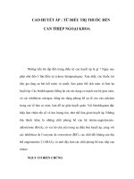 CAO HUYẾT ÁP : TỪ ĐIỀU TRỊ THUỐC ĐẾN CAN THIỆP NGOẠI KHOA ppsx