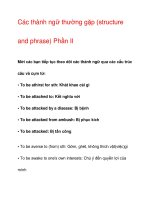 Các thành ngữ thường gặp (structure and phrase) Phần II ppt