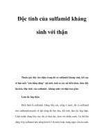 Độc tính của sulfamid kháng sinh với thận doc