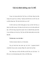 Giá trị dinh dưỡng của Cá Hố docx