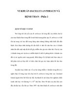 VI KHUẨN BACILLUS ANTHRACIS VÀ BỆNH THAN - Phần 2 ppt