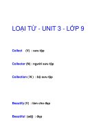 LOẠI TỪ - UNIT 3 - LỚP 9 ppsx