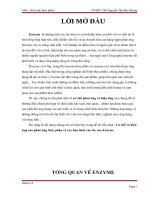 CO CHE PHAN UNG OXYHOA KHU ppt