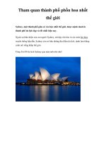 Tham quan thành phố phồn hoa nhất thế giới docx