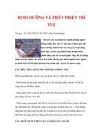 DINH DƯỠNG VÀ PHÁT TRIỂN TRÍ TUỆ potx