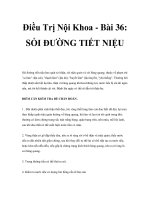 Điều Trị Nội Khoa - Bài 36: SỎI ĐƯỜNG TIẾT NIỆU docx