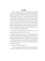 Tính toán, lập trình thiết kế động cơ không đồng bộ một pha