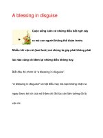 A blessing in disguise pps