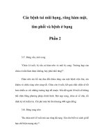 Các bệnh tai mũi họng, răng hàm mặt, tim phổi và bệnh ở bụng - Phần 2 ppt