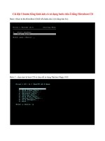 Cài đặt Ubuntu bằng hình ảnh pot