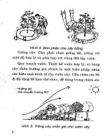 Kỹ Thuật Trồng Cây Đặc Sản Hiệu Quả Kinh Tế Cao - Nguyễn Đình Thiêm phần 2 pdf