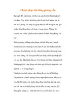 Chinh phục hội đồng phỏng vấn ppt