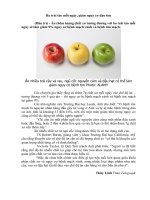 ba trái táo mỗi ngày giúp giảm nguy cơ về tim