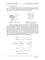 Quá trình hình thành giai đoạn xử lý nước thải sinh hoạt part7 pot