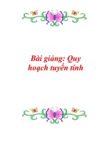 Bài giảng: Quy hoạch tuyến tính docx