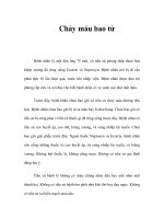 Chảy máu bao tử pps