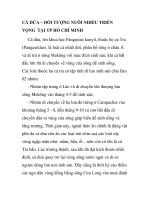 CÁ DỨA – ĐỐI TƯỢNG NUÔI NHIỀU TRIỂN VỌNG TẠI TP HỒ CHÍ MINH ppsx