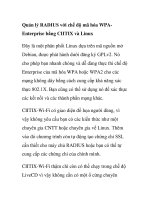 Quản lý RADIUS với chế độ mã hóa ppt