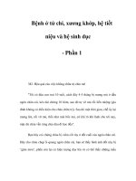 Bệnh ở tứ chi, xương khớp, hệ tiết niệu và hệ sinh dục - Phần 1 pdf