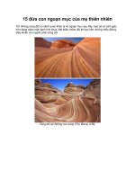 15 đứa con ngoạn mục của mẹ thiên nhiên pot