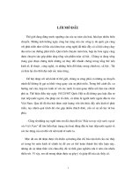 Luận văn: Cách thu hút đầu tư trực tiếp nước ngoài vào việt nam phần 1 potx