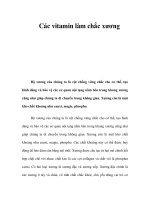 Các vitamin làm chắc xương potx