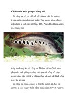 Cải tiến sản xuất giống cá nàng hai docx