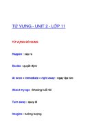 TỪ VỰNG - UNIT 2 - LỚP 11 pps