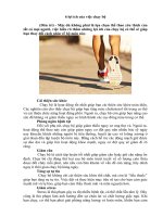 6 lời ích của việc chạy bộ