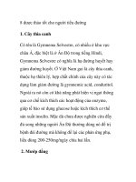 8 dược thảo tốt cho người tiểu đường ppt