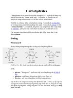 Carbohydrates có các phân tử công thức chung CH 2 O doc