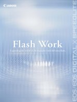 Expanding the world of photography with full-time flash. pptx