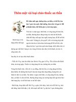 Thêm một vài loại cháo thuốc an thần pps