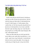 Vani thiên nhiên trồng thành công ở Việt Nam potx