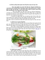 6 chế độ ăn uống lành mạnh trên thế giới mà bạn nên học theo