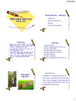 CÔNG NGHỆ SINH HỌC THỰC VẬT potx
